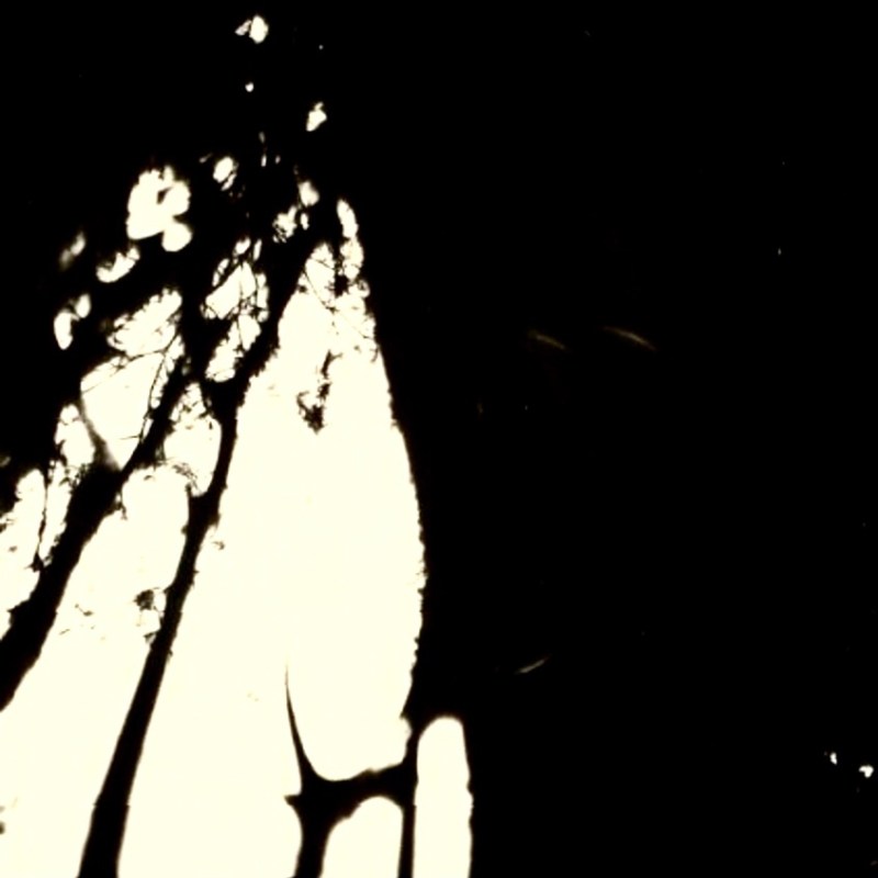 Image in Spite of It&nbsp;All