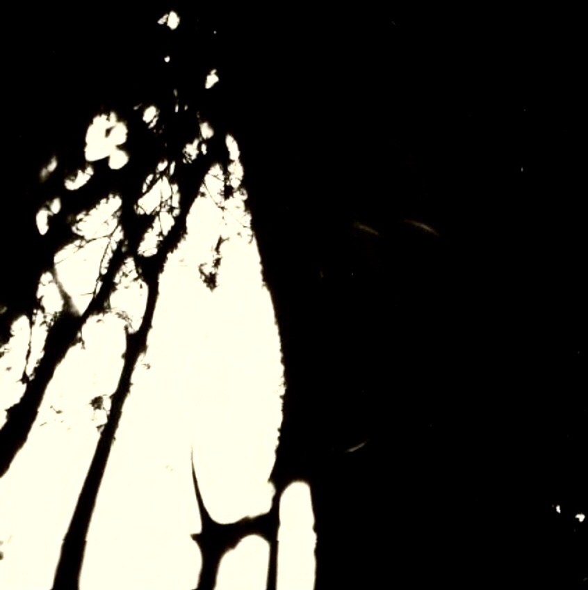 Image in Spite of It&nbsp;All